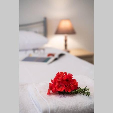Apartment In The Center Of Lefkas Lefkada City Ngoại thất bức ảnh